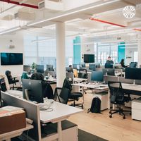 Spacious office with turquoise accents, featuring rows of adjustable desks and ergonomic chairs.