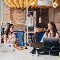 Two white women having lunch at their desks in an office.