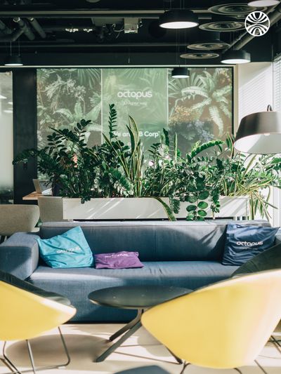 Modern office lounge area featuring tropical plants, a gray couch with colorful pillows, and yellow chairs.