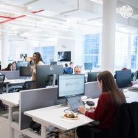 People working at computers in a modern workspace with height-adjustable desks and dividers. The office is filled with natural light from large windows.